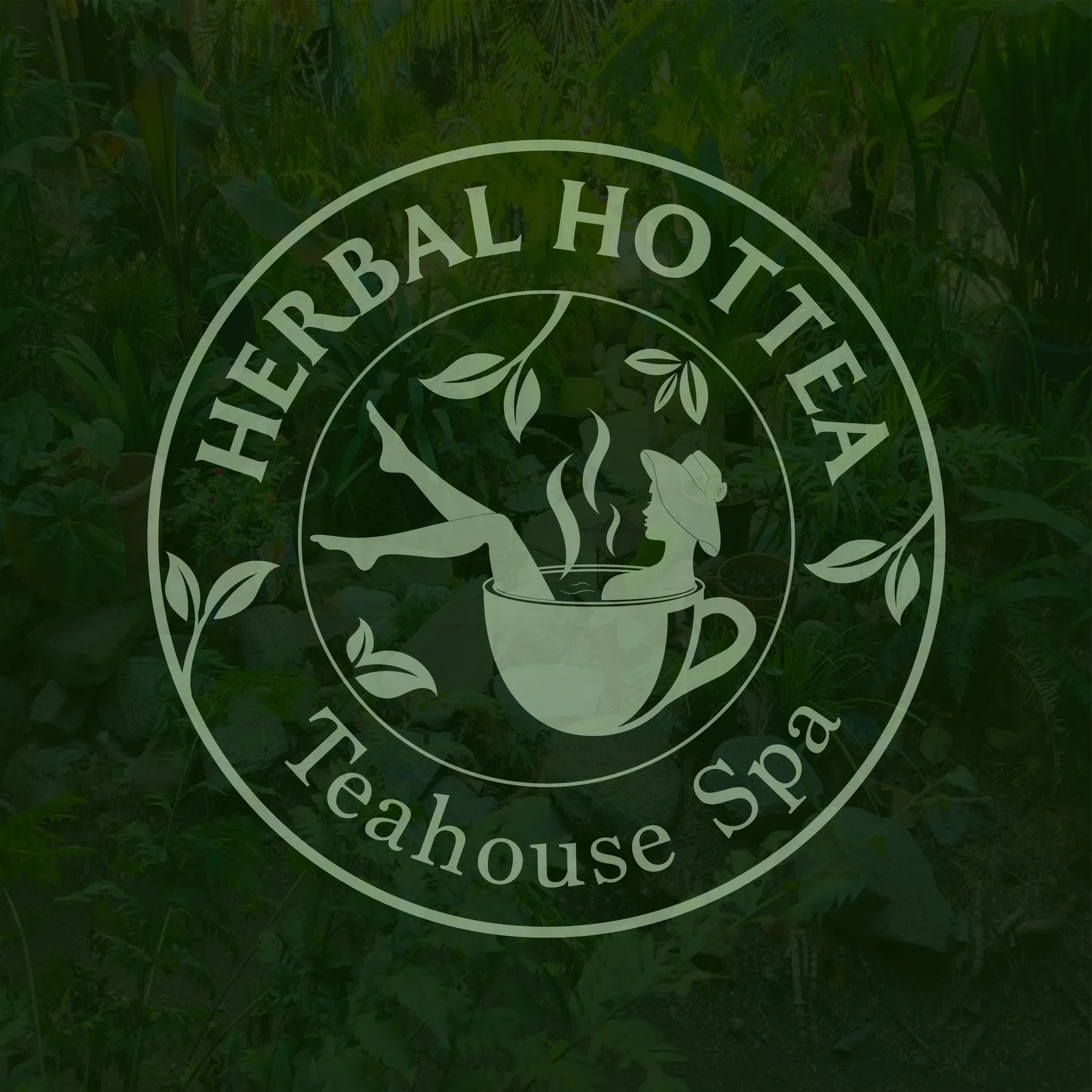 Herbal Hottea: screen 2