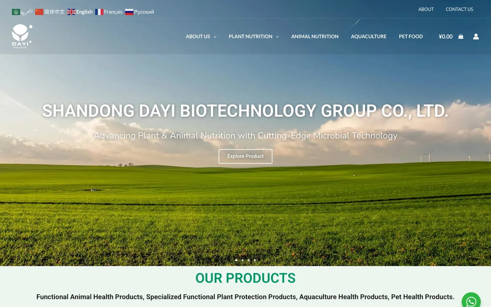 Shandong Dayi Biotechnology: WordPress · Multilingual