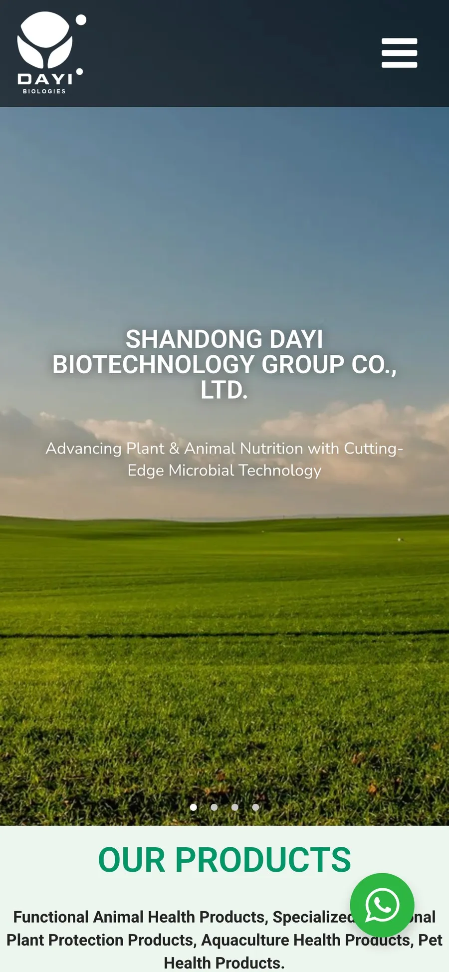 Shandong Dayi Biotechnology: mobile view